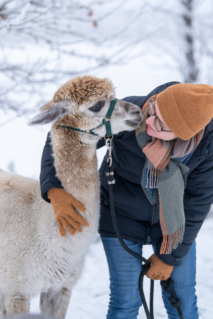 Frau in Winterkleidung mit Alpaka im Schnee – Alpaka-Wanderung und liebevolle Betreuung im Winter. Nachhaltige Alpaka-Produkte und tierfreundliche Mode.