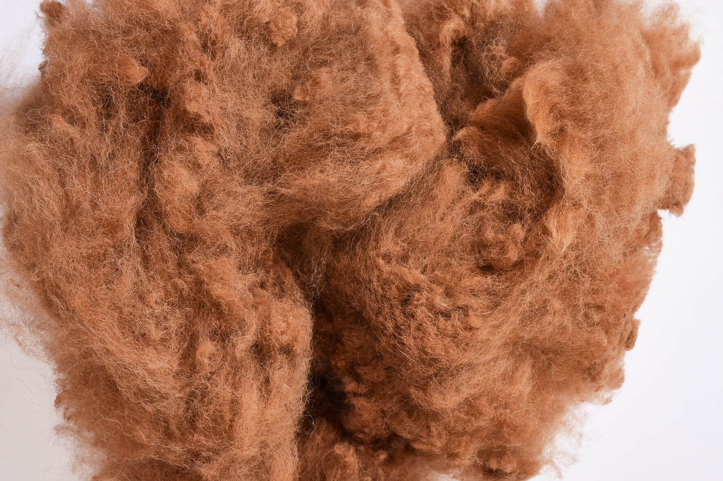 Alpaka-Rohwolle - Alpaka-Wolle für Handspinner--innen - Mein-Alpaka-Shop